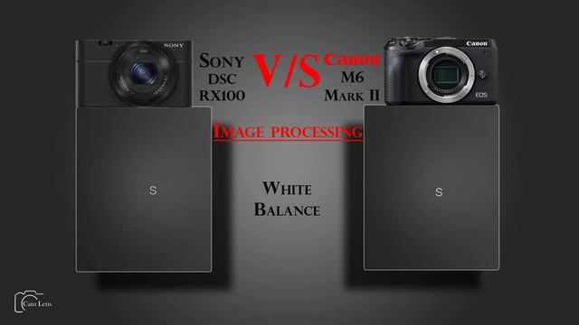 Sony DSC RX100 vs Canon M6 Mark II смотреть онлайн