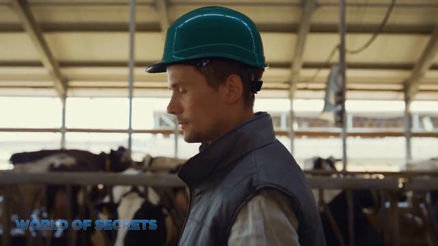 АМЕРИКЕ Приходит КОНЕЦ. Прямо Сейчас в США Происходит НЕЧНО НЕОБЪЯСНИМОЕ смотреть онлайн