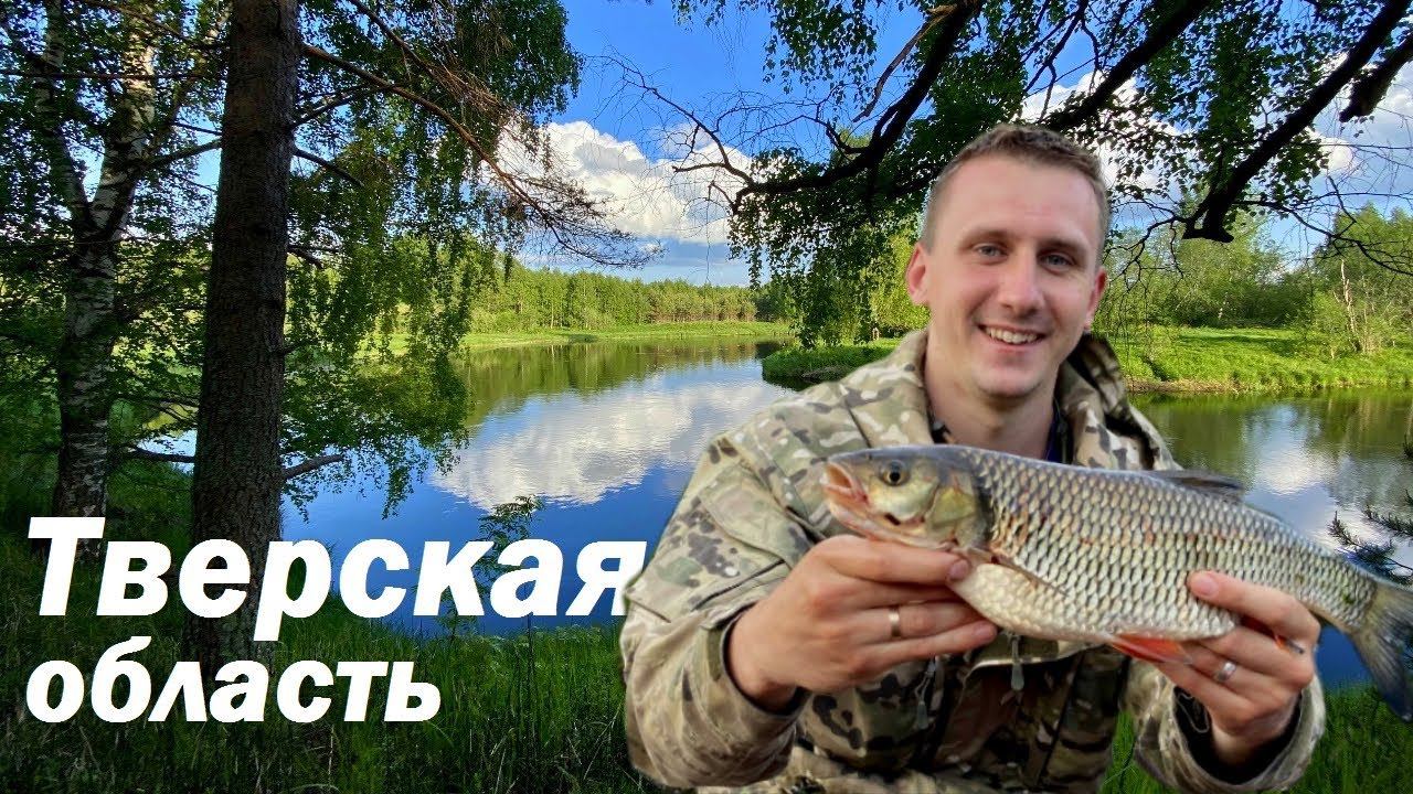 Рыбалка в Тверской области / Красивая Река / Отдых с Палатками / Ловля на спиннинг часть 1 смотреть онлайн