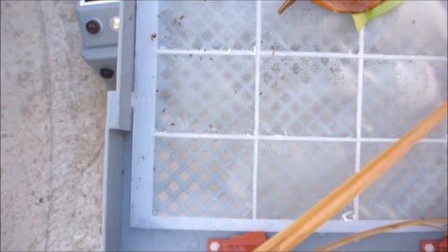 SolaSkimmer Solar-Powered Robotic Swimming Pool Skimmer- MSRP $399.00! смотреть онлайн