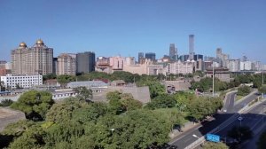 Городское озеленение: виды и элементы