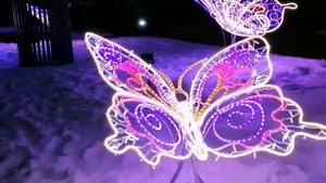 Новогодний Барнаул 2022