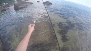 Seychelles (Mahé)Fishing from the coast part 1. Сейшельские острова( Маэ) Рыбалка с берега часть 1.