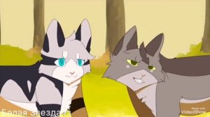 Коты Воители (Милли и Крутобок)