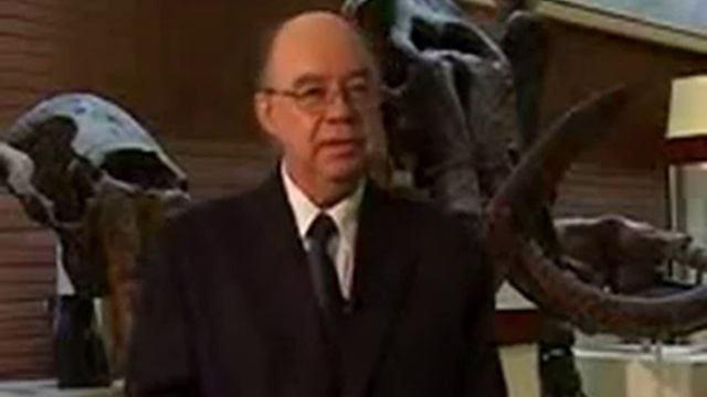 Skazka 1 смотреть онлайн