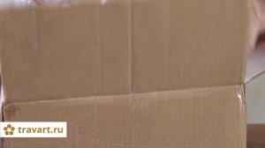 Доставка червей. Разведение червей. Червь Старатель. Червь купить. Калифорнийский чеврь дендробена