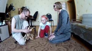 Плюшевый ЛИЦЕХВАТ  ФЕЙСХАГГЕР  Распаковка  Слеплайф