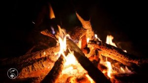 Красивый ночной костер на природе, треск горящих дров для глубокого сна и релакса | Фоновые звуки