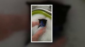 ★ ИЗДЕВАТЕЛЬСТВО НАД КОТЯТАМИ ◄ ШРЕК VS СМУРФ ►