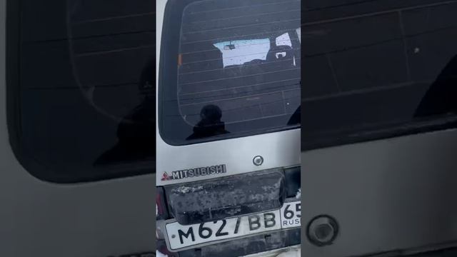 Метель. 29.01.2024. Южно-Сахалинск. Часть 10.