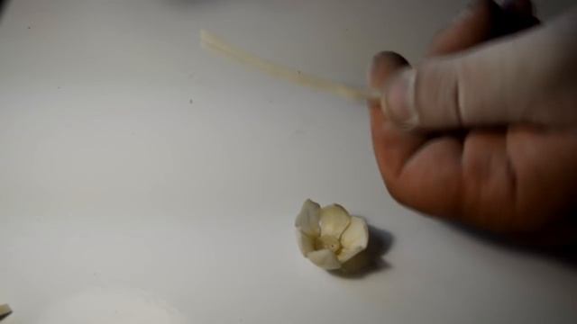 Резьба по кости. "Аленький цветочек" смотреть онлайн