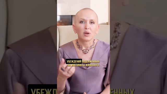 Все Проблемы Людей Идут От Этого