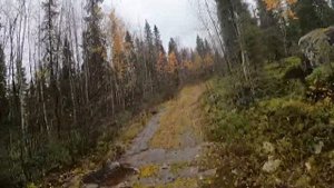 Дорога к заброшенному поселку Неблагорский на мотоцикле MOTOLAND XR 250 Lite