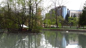 ВЛАДИКАВКАЗ 2021: обзор города, осетинская кухня, природа, гостиница. Северная Осетия, Алания.
