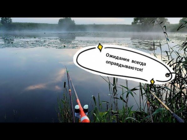 Ожидание всегда вознаградится! #рыболовныеузлы #рыбалканадонки  #fishingknots