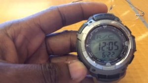 Paw1100T Watch Review 2014