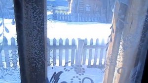 Отдых на Алтае зимой Обзор домиков на базе