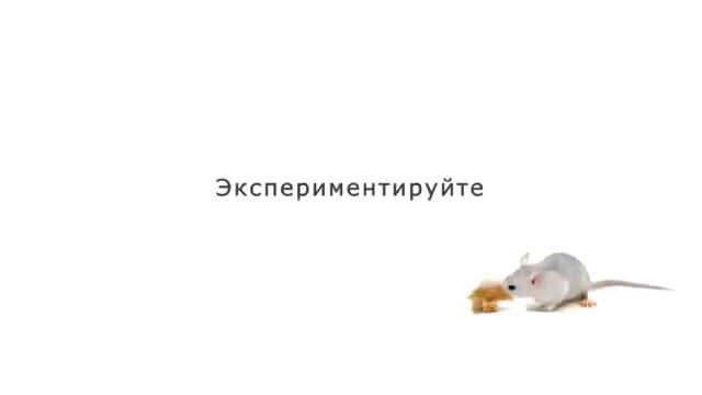 Rat's experiments (Крысиные эксперименты) смотреть онлайн