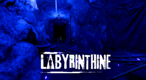 Проходим 6 главу Labyrinthine