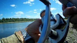 Рыбалка на фидер в Тарусе. Ока, июль.