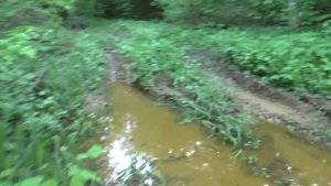 на Вытебьском и не только...(зарисовки) часть 2