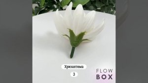 FLOW BOX - Хризантема №3