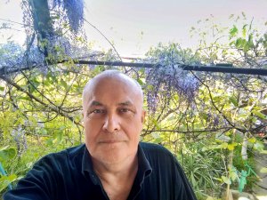 Расчистка от глицинии и благородного лавра.