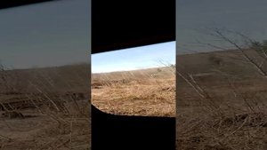 кизел пермский край