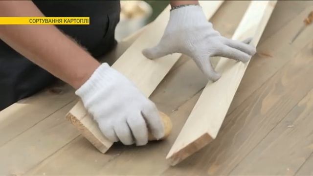 Как правильно сортировать картофель | Ранок з Україною смотреть онлайн