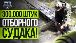 РСК "Кужора" 300.000 малька судака очередное зарыбление !