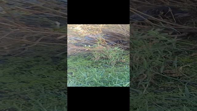 VID20230910173125.mp4 смотреть онлайн