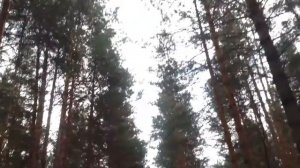 "Здесь я черпаю Энергию..." 24.02.15 (Дневник Артёма Юрзина "Жизнь,как она есть"