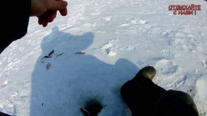 Ловля красноперки в затоне реки Сура зимой. Ч.1