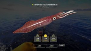 Норвежское море радует? Фарм на новой точке. #рр4 #норвежское море #русская рыбалка 4