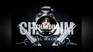 ASL WAYNE - CHAKDIM (REMIX) | АСЛ ВАЙНЕ - ЧАКДИМ (REMIX)