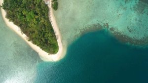 Natural desert oasis with turquoise colored water and palm trees Music (4K Video Ultra HD)