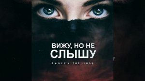 Вижу, но не слышу (feat. The Limba)