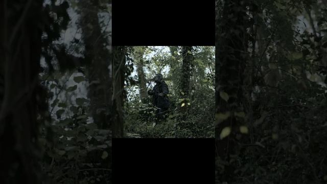 Ходячие мертвецы: Дэрил Диксон смотреть онлайн