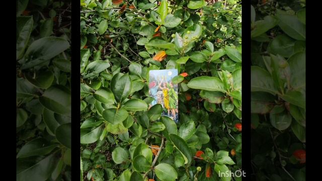 🔮Карта дня на 14 июля 2024🔮 смотреть онлайн