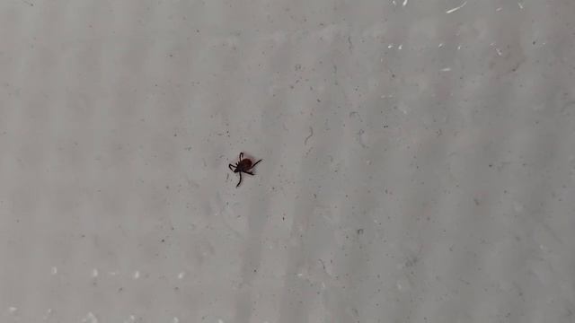 Наличники и откосы из старой доски дюймовки смотреть онлайн