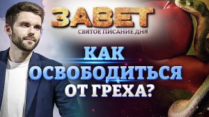 КАК ОСВОБОДИТЬСЯ ОТ ГРЕХА? ЗАВЕТ