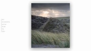 OM System 40-150mm f/4 Pro Lens Review