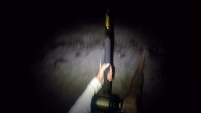 Great Hammerhead Shark Fishing from the Beach смотреть онлайн