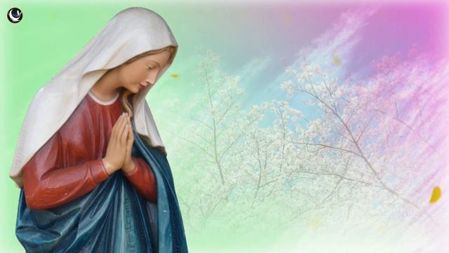 Forte oração milagrosa da ave maria - Santa maria mãe de deus rogai por nós pecadores смотреть онлайн