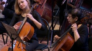 СКАЗКА РИКИ ТИКИ ТАВИ 2018 год