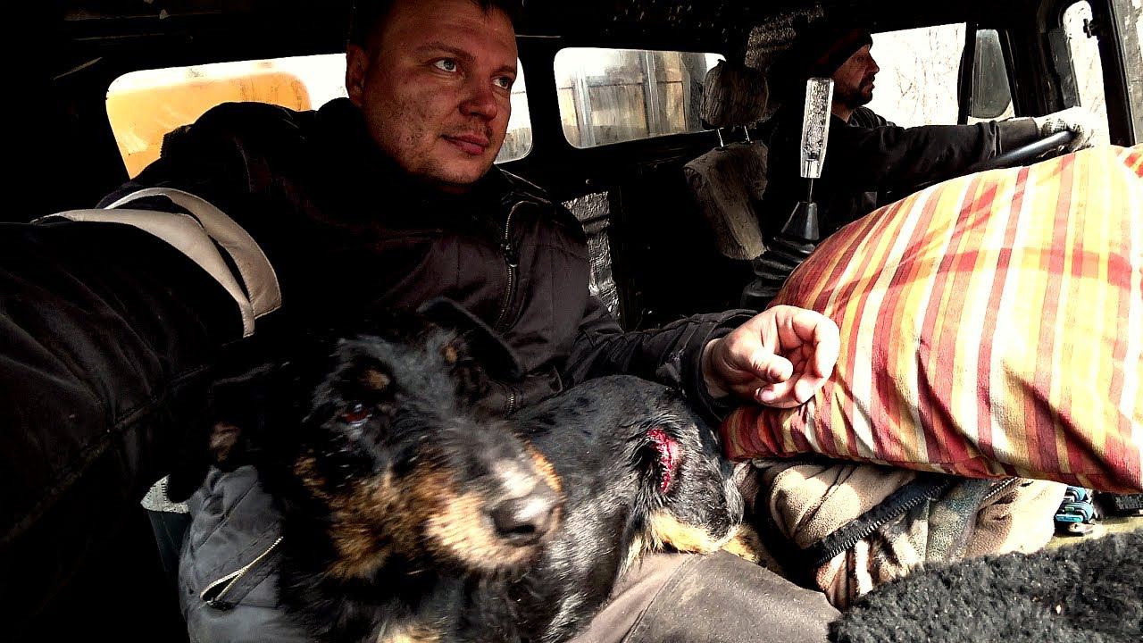 ПАЛЬМУ РВАНУЛ МЕДВЕДЬ НА НОВОМ УЧАСТКЕ ПОД ПАСЕКУ. Продолжаем переезд на новый участок в тайге 4. смотреть онлайн