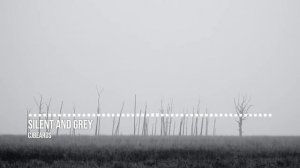 Cjbeards - Silent And Grey _ No Copyright Electronic Music