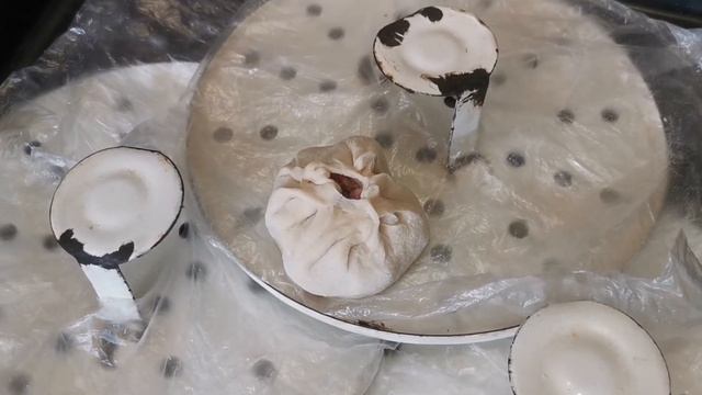 Готовим позы - Рецепт и полный процесс приготовления смотреть онлайн