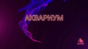 АКВАРИУМ, Сидя на красивом холме, каверверсия