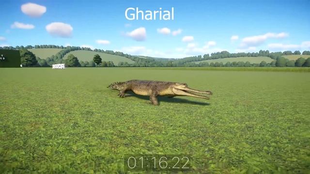 Critically Endangered Animal Race in Planet Zoo - Lion, Chimpanzee, Orangutan, Gharial, Bear смотреть онлайн